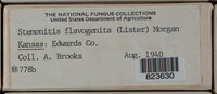 Image Associated With the Occurence